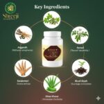 Shreeji Power Boost Max – Natural Energy Booster for Stamina, Vitality & Physical Endurance - Image 3