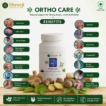 Shreeji Ortho Care – High Quality Orthopedic Support for Joint Pain, Back Pain & Mobility Issues - Image 3