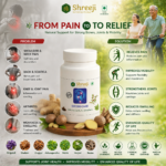 Shreeji Ortho Care – High Quality Orthopedic Support for Joint Pain, Back Pain & Mobility Issues - Image 7